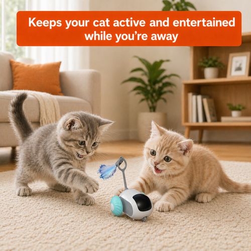 Interactive Cat Toy Remote Control Smart Moving Cat Car USB Rechargeable — image 7