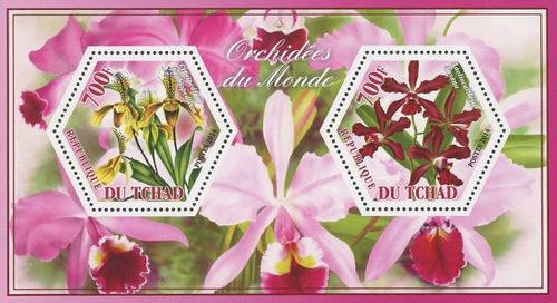Orchid Flower Stamp Bundle Cypripedium Laeliocattleya Cattleya Cymbidium S/S MNH — image 2
