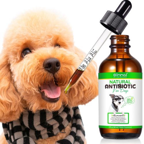Dog Anti Biotic Drops 100% Natural for Immune System Support & Anti-Inflammatory — image 17