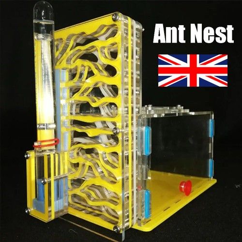 Ant House Ant Farm With Feeding Area Acryl Ant Moisture Nest Insect Villa DIY UK