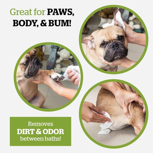 Pogiâs Dog Wipes â Plant-Based, Hypoallergenic Wipes for Dogs and Puppies â — image 6