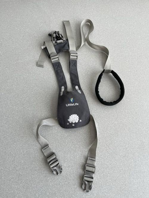 LittleLife Child Toddler Safety Walking Harness