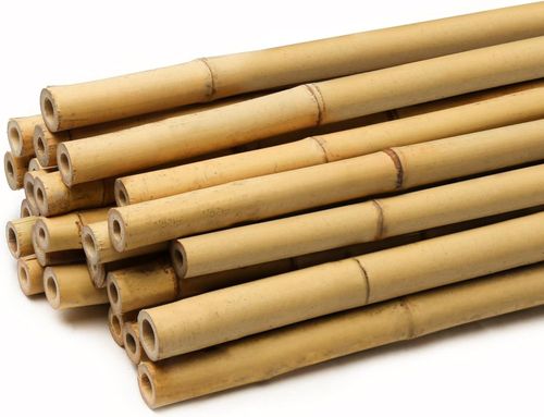 5ft Bamboo Canes Thick Garden Plant Support Sticks Pole Strong 10mm Pack 10-100 — image 6