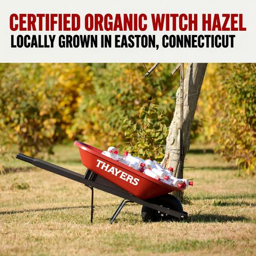 Thayers Rose Petal Witch Hazel Facial Toner with Aloe Vera 355ml - Alcohol-Free — image 10