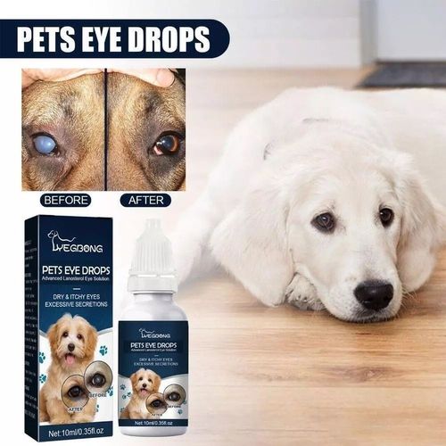 Pet Eye Drops Cataract Drops For Pet Eye Lubricant Drop Lanosterol Solution 10ml — image 13