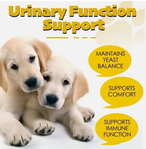 2xYeast Infection Treatment for Dog ,Natural Yeast Infection Treatment for Dogs — image 9