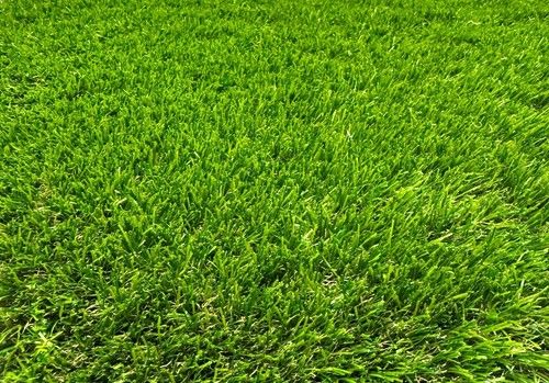 Artificial Fake Grass Astro Turf 28mm 35mm 38mm Quality Fake Lawn Realistic Roll