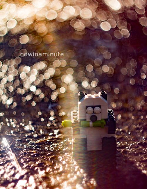 Fuji X Fit Lens Helios 44-2 Helios 44-2 58mm Swirly Bokeh Portrait Art Dreamy — image 1