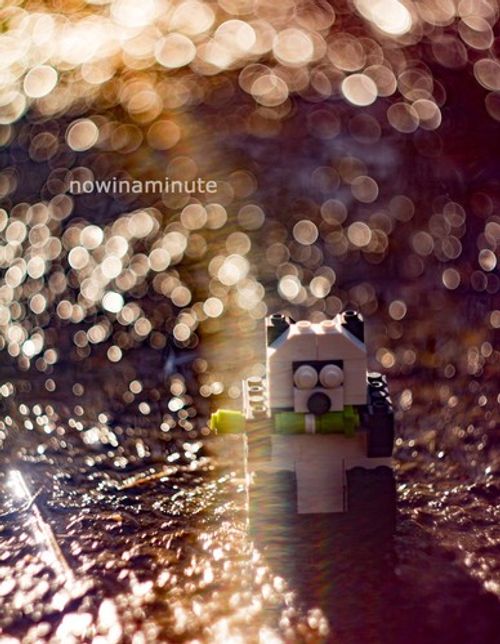 Fuji X Fit Lens Helios 44-2 Helios 44-2 58mm Swirly Bokeh Portrait Art Dreamy