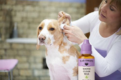 Dog Ear Drops cleans stinky itchy waxy ears  , Head Shaking Itching Odour Wax — image 6