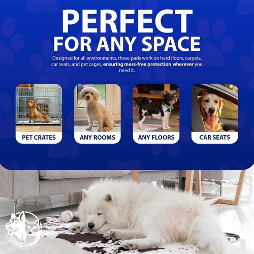 Puppy Pads 100 Pack 60X60CM | Dog Training Pads | Leak-Proof Puppy Pads — image 2