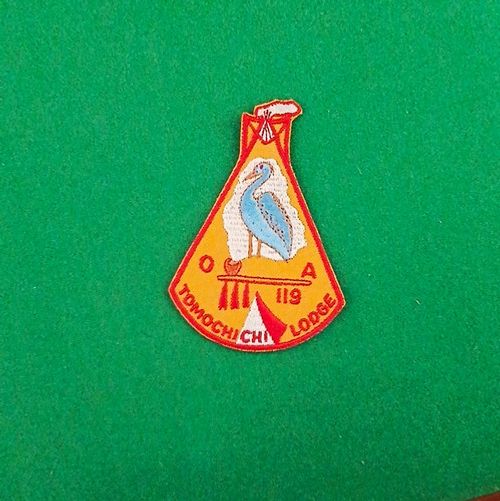 BSA Boy Scouts Order of the Arrow OA TomoChichi Lodge 119 Flap Patch Badge