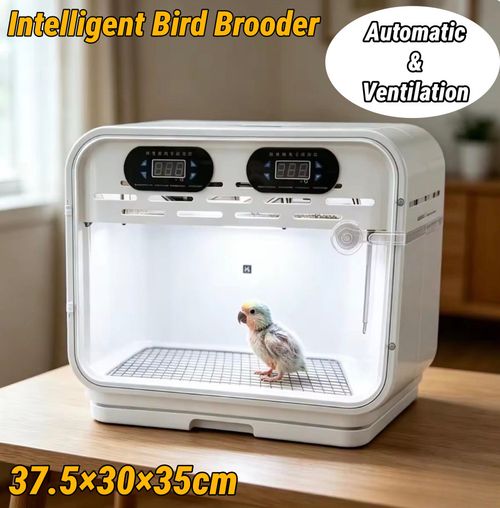 Bird Brooder Box Birds Parrot Warm Keeping Box Temp Humidity Control w/Lamp — image 2