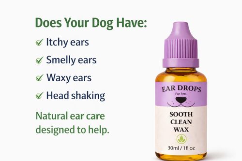 Dog Ear Drops cleans stinky itchy waxy ears  , Head Shaking Itching Odour Wax — image 4