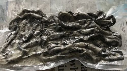 250g  2nd Grade SALTED PRESERVED Lug worm Sea Fishing Lure Bait Beach Boat — image 2