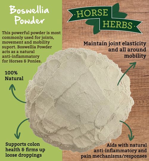 Horse Herbs Boswellia Powder 1kg - Equine Supplement Pain Relief for horses — image 2