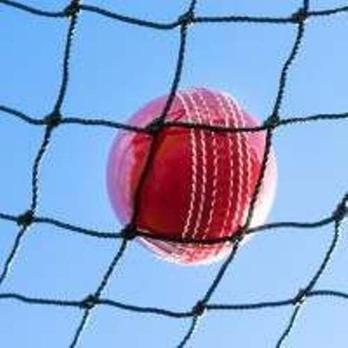 Cricket Net 3m x 10m  Ball Stop Practice Cage Batting Sports Tennis Netting — image 8