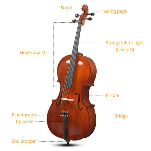 Glarry 4/4 Full Size Ebony Head Cello Tiger pattern w/ Bag Bow Rosin Natural — image 7