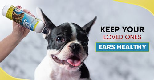 *VET STRENGTH* Dog Ear Cleaner Drops STOP Shaking Ears Itching Mites Odour Wax   — image 6