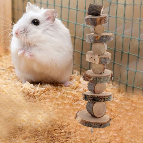 Guinea Pig Cage Accessories Rat Chew Toys Hamster Chewing Supplies — image 12
