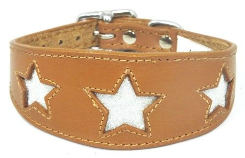 Greyhound Whippet Leather Hound Dog Collar Padded Backing Sparkle Glitter Star 