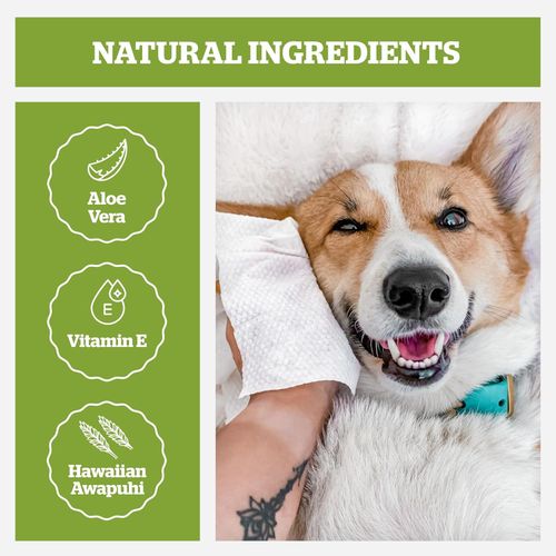 Pogiâs Dog Wipes â Plant-Based, Hypoallergenic Wipes for Dogs and Puppies â — image 3