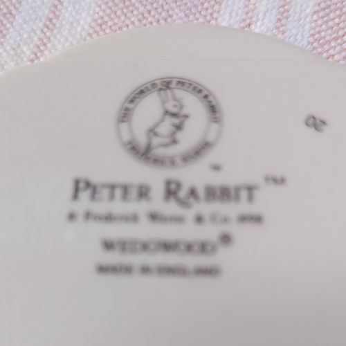 Wedgwood Porcelain Beatrix Potter Peter Rabbit Baby Children Photo Picture Frame — image 8