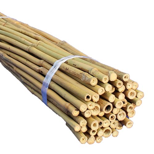 Suregreen Bamboo Canes 2.4m/8ft | 14-16mm | 100 Pack — image 17