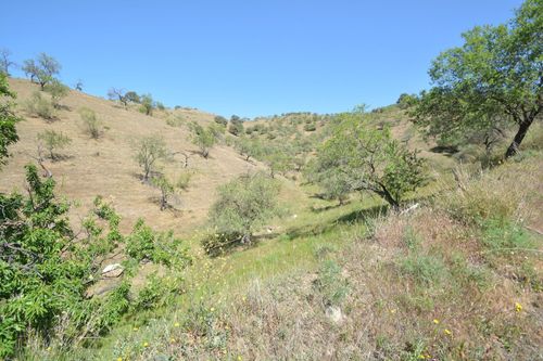 26000m2 Land Alora Malaga — image 3