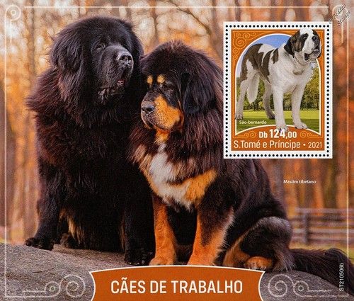 WORKING DOGS St. Bernard & Tibetan Mastiff Dog MNH Stamp Sheet (2021 Sao Tome)