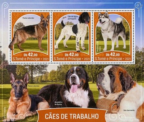 WORKING DOGS Alsatian/Water Dog/Malamute/Bernese Dog Stamp Sheet (2021 Sao Tome)