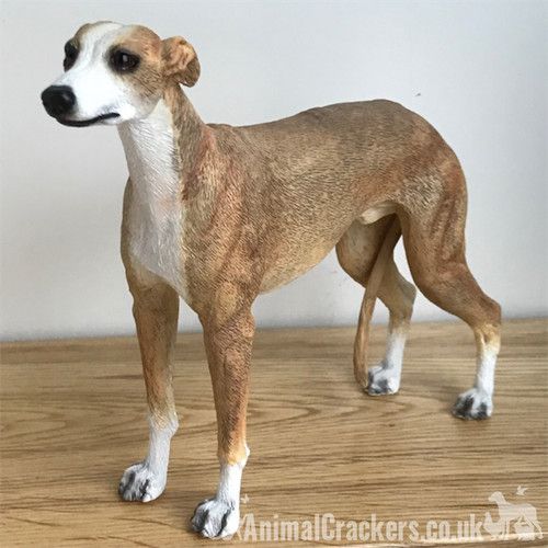 Greyhound Dog Figurine 17cm Fawn Lifelike Leonardo Collection Decor Boxed