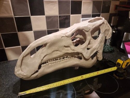 Iguanodon Replica Skull Large Dinosaur Skull Model