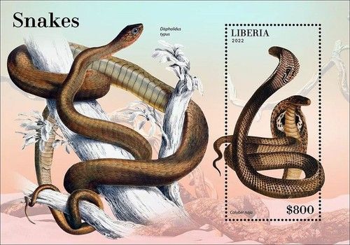 SNAKES Reptiles/Animals/Wildlife/Snake MNH 1v-Stamp Sheet #4 (2022 Liberia)