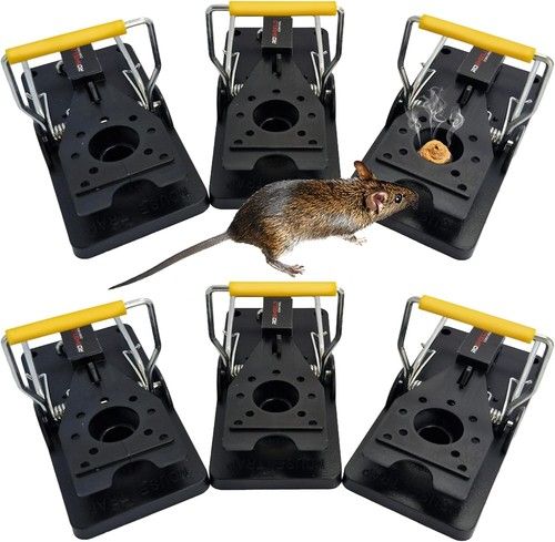 Roshield 6 x Mouse Trap, 6 Pack Heavy Duty Reusable Snap Traps that Kill