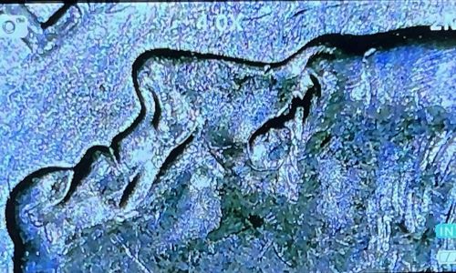2021 D Rosevelt Dime Struck Through Mint Error RVS & Extra Oak Leaf — image 11