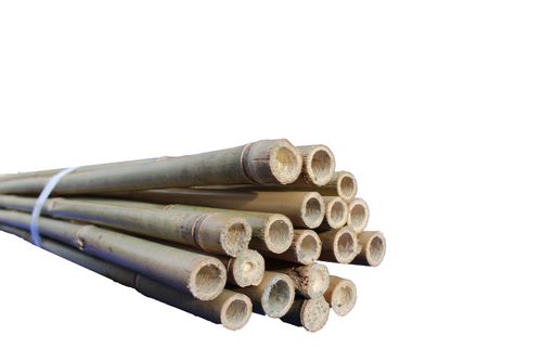 Suregreen Bamboo Canes 2.4m/8ft | 14-16mm | 100 Pack — image 11