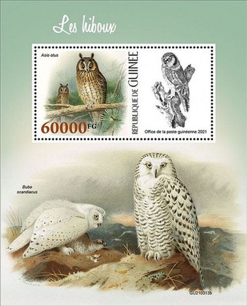 OWLS - BIRDS OF PREY Birds/Bird MNH 1v-Stamp Sheet #979 (2021 Guinea)