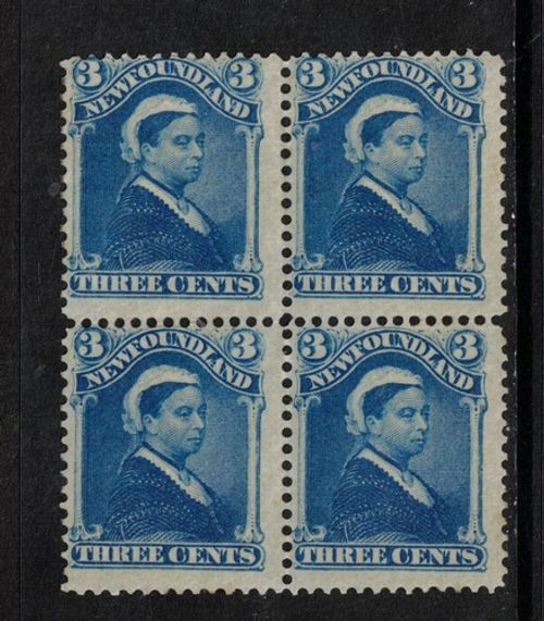 Newfoundland #49 Mint Fine Never Hinged Block
