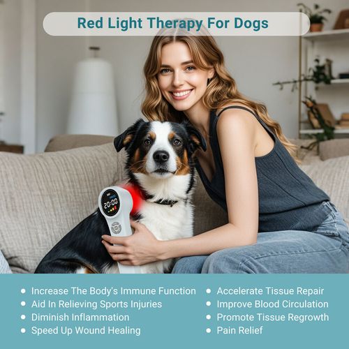 1760mW Red &Infrared Light Therapy Cold Laser Therapy Deep Pain Relief/Arthritis — image 6