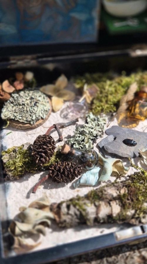 Handmade Fairy Mythical Creatures Miniature Diorama Scene  with Butterfly — image 6