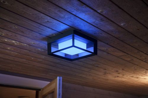 Philips Hue Econic Outdoor Smart Wall Ceiling Light White Colour Ambiance Black — image 4