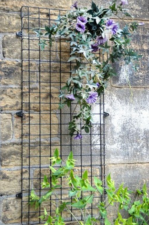 Wall Mounted Wire Mesh Garden Trellis Plant Support