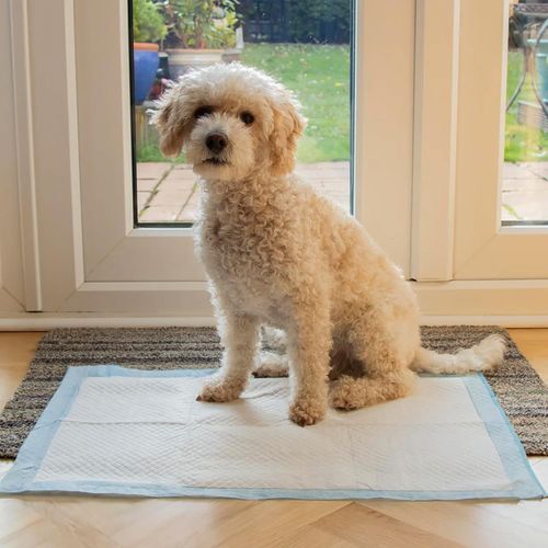 Puppy Pads 100 Pack 60X60CM | Dog Training Pads | Leak-Proof Puppy Pads — image 3