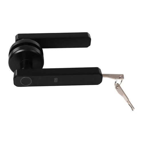 Fingerprint Door Lock Knob Smart Door Handle Lock Type-c Interface Smart Door — image 6