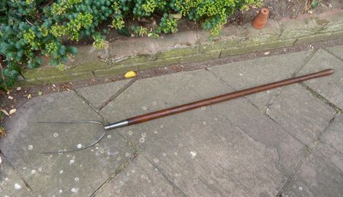 Vintage Pitch Fork - hay fork - 2 Prong Old Farm Tool. Long wooden handle. — image 1