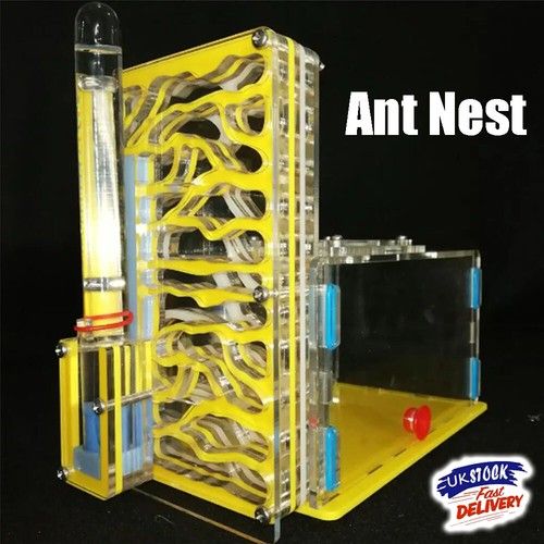 Acrylic Ant Nest Formicarium Housing Ant Farm House Ant Colony Living Feed Y8D1