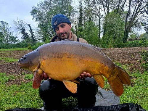AT Angling products 100% Cold pressed organic hemp oil - 5 Litre - Carp fishing — image 3