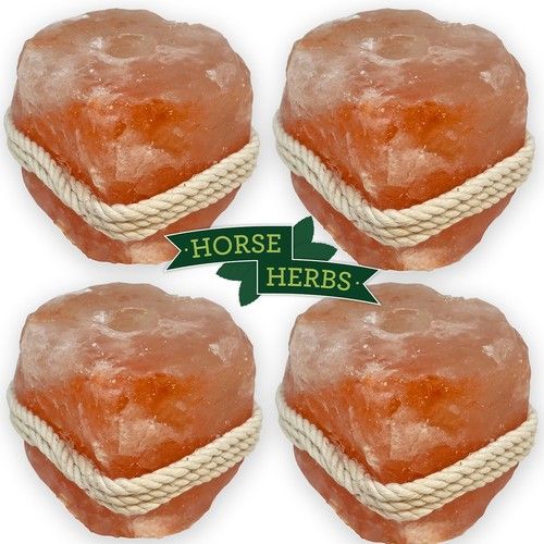 4 x Horse Herbs Himalayan Salt Lick for Horses 1kg with Rope, Natural Supplement