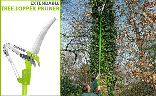 TELESCOPIC GARDEN LOPPER EXTENDABLE TREE HIGH BRANCH PRUNER CUTTER + 30cm SAW — image 10